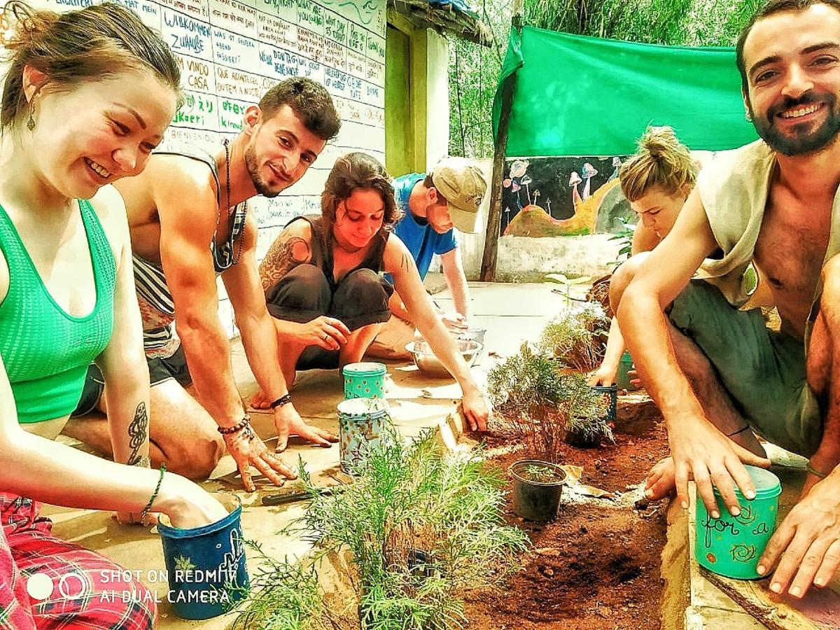 Bunkd Hostel, อันจูนา ภายนอก รูปภาพ